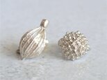 Seed Earring{EP007SV}の画像