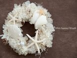 White Summer Wreath　20cmの画像
