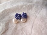 送料無料　つぶつぶ刺繍ピアス … すみれ L
