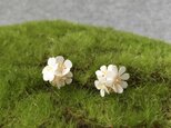 ピアス：Paper Flower Earrings No.2の画像