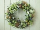 【再販】オレガノとスモークツリーの野原のリース
