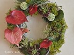 直径４０㎝リース：アンスリウムと多肉植物