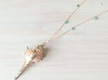 K14GF shell long necklace 2の画像