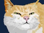 ポストカード セット⑥　シルバー猫の画像