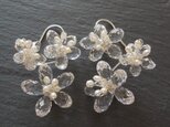 シルバーピアス  Blooming Sakura sterling silverの画像