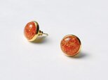 Daisy［Baltic Amber］の画像