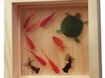 ひのきアート 樹脂金魚 金魚 亀 「寿」 プレゼント 誕生日 結婚 退職 還暦 祝い 男性 女性 置物 玄関 インテリアの画像