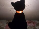 黒猫足元灯の画像