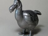 ドードー鳥の画像