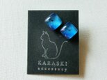 シカクピアス13/鳥の画像