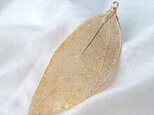 Real leaf pierced earring ,goldの画像