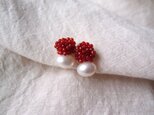 送料無料　つぶつぶ刺繍イヤリング L … レッドアゲート