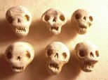 ガイコツボタン(小)の画像
