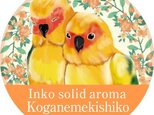 インコの香り「インコロン」☆コガネメキシコインコの画像