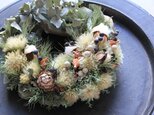 ユーカリ・フィリカ・木の実のwreathの画像