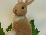 クリスマスうさぎ “ふりむきうさ”