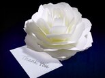 咲くようにひらく 花のサンキューカード〈ローズ〉　forバースデー・ウェディング・アニバーサリー・クリスマス・メッセージカードの画像