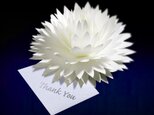 咲くようにひらく 花のサンキューカード〈ダリア〉　forバースデー・ウェディング・アニバーサリー・クリスマス・メッセージカードの画像