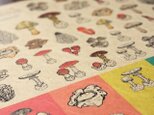 ●キノコ図鑑シリーズ● キノコと毒キノコのシールの画像