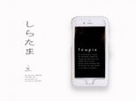 iPhone6s SE iPhone各種レザーケース（しらたま）の画像