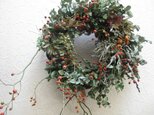 野バラの実のwreath