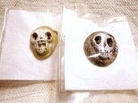 ガイコツボタンの画像