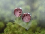 ちいさなピアス104/三日月と三つ葉の画像