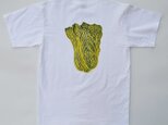 白菜Tシャツ、野菜Tシャツ、おもしろＴシャツ、送料無料、オリジナルTシャツ