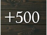 +500円 追加購入ページの画像