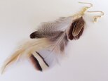 asymmetry feather earringの画像