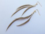 brown feather earringの画像