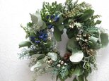 ユーカリの冬のwreath