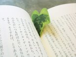 ivy paper（アイビーペーパー）の画像