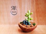 395.bud 粘土の多肉寄せ植え