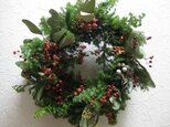 野バラの実のクリスマスリース