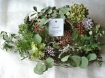 二種のユーカリのwreath.anの画像