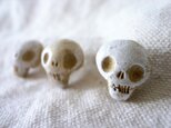 ベージュのガイコツ画鋲の画像