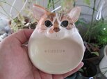 ＊K様ご予約品＊猫の小物入れ（三毛）の画像