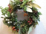 ユーカリポポラスのXmas-wreath