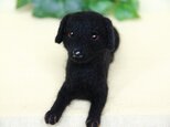 I様オーダー　【黒ラブラドールレトリバー犬】　ebonyちゃん　ご予約品　の画像