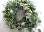 green Xmas wreath-whiteの画像