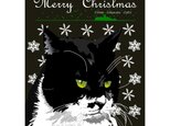 ポストカード 湘南Catsのクリスマス　②　白黒ネコの画像
