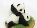 twin pandasの画像