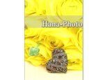 1031）「春の花　ラナンキュラスとアネモネ」　　5枚組ポストカードの画像