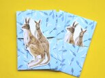 ぽち袋/ぽちカンガルーの画像