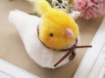 【再販】手のひらサイズのぬいぐるみオカメインコ白*クロスのチャーム
