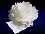 咲くようにひらく 花のサンキューカード〈ピオニー〉　forバースデー・ウェディング・アニバーサリー・クリスマス・メッセージカードの画像
