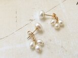 淡水パール×ライス淡水バックキャッチピアス(K14GF)の画像