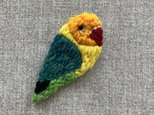 ボタンインコ（オレンジ）＊ブローチ