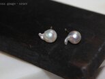 Ｋ18　アコヤ真珠ピアス